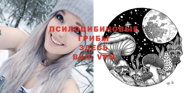 ешки Алексин