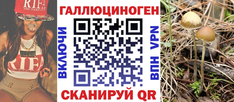 купить закладку  Мензелинск  Галлюциногенные грибы GOLDEN TEACHER 